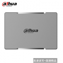 大华（dahua）256G SSD固态硬盘 SATA接口 C800系列 笔记本台式机固态硬盘 三年质保
