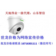 天地伟业 监控摄像头网络摄像机球机TC-C15HN500万双灯半球                                   配置:I5/Y/(2.8/4/6mm)500万定焦红外音频半球（新款）