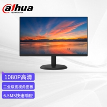 大华dahua监控显示器22英寸监控专用 1080P高清画质 大广角低功率 多接口高清宽频监控监视器DH-LM22-V200