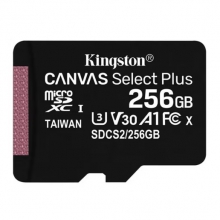 （官方正品）金士顿tf 256G（Kingston）行车记录仪内存卡 高速TF卡 摄像头专用 监控手机 U1存储卡256GB 监控通用卡